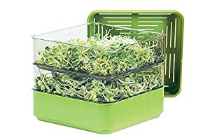 seed sprouter tray